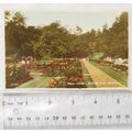 vintage postcard Rose Gardens, Hesketh Park, So...