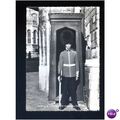 Berkshire WINDSOR Sentry Postcard (9929)