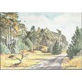 Holkham, Norfolk - Pinewoods - art postcard by ...