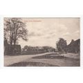 Village Green Chiddingfold Postcard Surrey Inge...