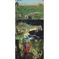 Turfan Xinjiang Grape Pickers Chinese 3x China ...