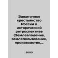 The Russian peasantry in historical retrospect (land ownership, land use, produc