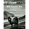Wild Atlantic Way: Light On The Water, Shadows ...