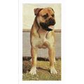 Dogs 1961 Hornimans Tea Card 30 - Bull Mastiff