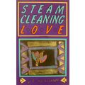 STEAM CLEANING LOVE by J A HAMILTON POETRY