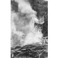 Eagles Birds Nest Wairakei New Zealand Antique ...