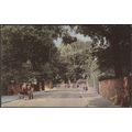 Meads Road, Eastbourne, Sussex, c.1905 - Tuck's...