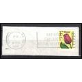 Used 2519 29c F Flower Southeastern, PA. 193 BP...
