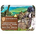 Shenandoah National Park on the Skyline Drive F...