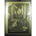 1974 Buddy Miles Express Album Booger Bear Ad -...