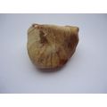 Unique Natural Gratitude Stone/Rock Law of Attr...