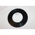 Tina Turner Promo 45-WHAT YOU GET IS WHAT YOU G...