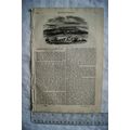 1844 The Penny Magazine No. 794 Tangier, Adur A...