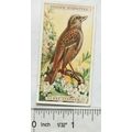 1939 Ogdens British Birds cut-out No. 37 Hedge ...