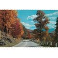 Maine Autumn Colors United States Postcard unus...