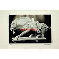 Horse, Chinese T'ang, Book Illustration (Print)...