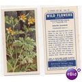Brooke Bond Tea card WILD FLOWERS series 3 no.1...