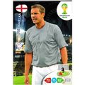 2014 Adrenalyn XL FIFA World Cup Brazil - #130 ...