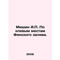 Mishin A.P. On the cool places of the Gulf of F...