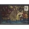 FDC Postcard 1757h 13c Racoon (No Cachet-U/A) B...