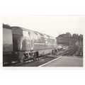 M35279 Train At Unidentified Station Vintage Ra...