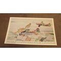J.Salmon postcard - World War 2 RAF Westland Ly...