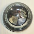 Clear Glass Dome Naturescape Paperweight