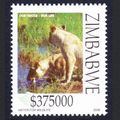 Zimbabwe Lionesses drinking Water conservation ...