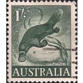 AUSTRALIA, MAMMALS, Duck-billed Platypus, green...