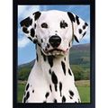 DALMATIAN 3D FRIDGE MAGNET Great Christmas stoc...