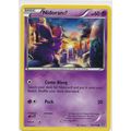 Pokemon XY Steam Siege 43/114 Nidorano