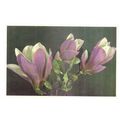 MAGNOLIA FLOWERS used vintage postcard =
