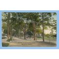 CT Madison Boston ST Looking East Tree Lined Un...