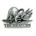 Triceratops Dinosaur Grey Fridge Magnet