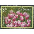 Tulips: 3.60L - Romania 2006 - F H - MiNr 6060