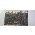 DEER SCENE, HAND TINTED. 1918 - 1933 (388)