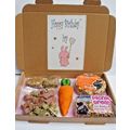HOPPY BIRTHDAY RABBIT GIRL BUNNY BIRTHDAY GIFT ...