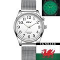 Gents Light Up Electro-Luminescent Face Silver ...