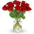 Benchmark Bouquets - 12 Stem Premium Red Roses ...