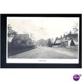 Sussex NORTHIAM View Postcard