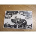 1950s real photo Postcard - Newbury scenes / Mu...