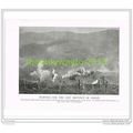 FIGHTING FOR THE LOST PROVINCE OF ALSACE, FRANC...