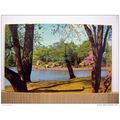 Lake In Abbey Park, Leicester, Leics, England, ...