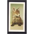 HORNIMANS PETS FOX CUB No 9 Mint
