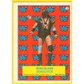 1987 Topps WWF Wrestling Sticker Smash Demoliti...