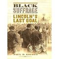 A Nation Divided Black Suffrage