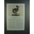 1943 Travelers Insurance Ad w/ Dodo Bird