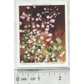1939 Wills Garden Flowers New Varieties 2nd No....