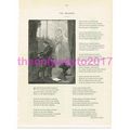 Organist, Mathias Barr, Illustrated Poetry, Vic...
