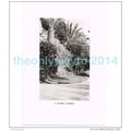 A RIVIERA GARDEN, FRANCE, PHOTO BOOK ILLUSTRATI...